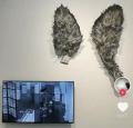 博物館が展示物を壊す子どもの映像を繰り返し流し物議―中国