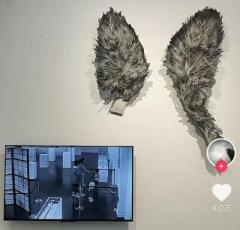 博物館が展示物を壊す子どもの映像を繰り返し流し物議―中国