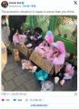トー横女子、ついに訪日外国人に乞食..