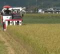 どうなるコメの価格！？”概算金”下落。県内農家から悲鳴（静岡）