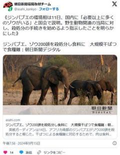 ジンバブエ、ゾウ200頭を殺処分し食料に大規模干ばつで食糧難のイメージ画像