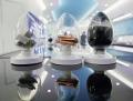 中国、2025年のレアアース採掘・製錬割り当てをひっそり実施か―仏メディア