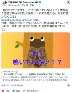 【岡山】「セミが鳴いていない!?」空梅雨と急激な暑さで羽化に失敗か「35℃を超えるとあまり鳴かなくなる」