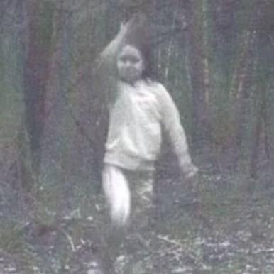 森の監視カメラにハッキリと映った｢女の子の霊｣!米
