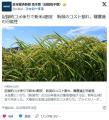 記録的コメ余りで新米4割安🍚新潟のコスト割れ、離農進む可能性👋👨‍🌾