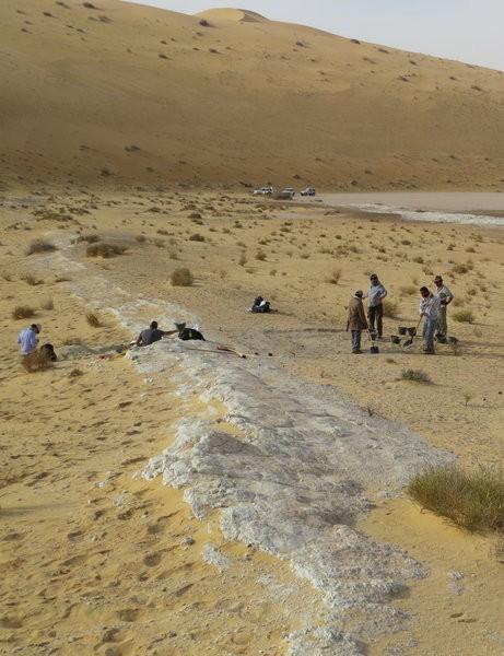 サウジアラビアの砂漠で9万年前の人類の 指の骨 を発見 スレッド閲覧 爆サイ Com関西版