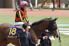 「秋華賞定番」桜花賞馬VSオークス馬対決の行方…データではステレンボッシュ優勢もチェルヴィニアに見逃せない反撃材料