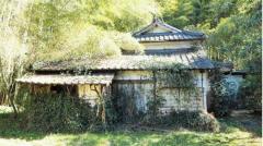 沖縄県で空き家から1億円を盗んだ少年たち 過去には“竹やぶ2億円事件”ものイメージ画像