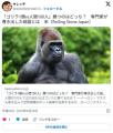 【話題】「ゴリラ1頭vs人間100人」勝つのはどっち？専門家が導き出した結論とは米