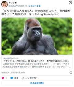 【話題】「ゴリラ1頭vs人間100人」勝つのはどっち？専門家が導き出した結論とは米