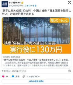 河口湖で樹木を無断伐採した中国人「日本国籍を取得したい」