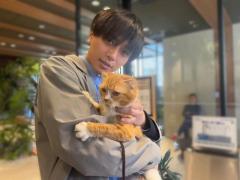 キンプリ・永瀬廉、猫を抱っこしながら優しい笑顔「東京タワー」癒し要素しかない2ショットのイメージ画像