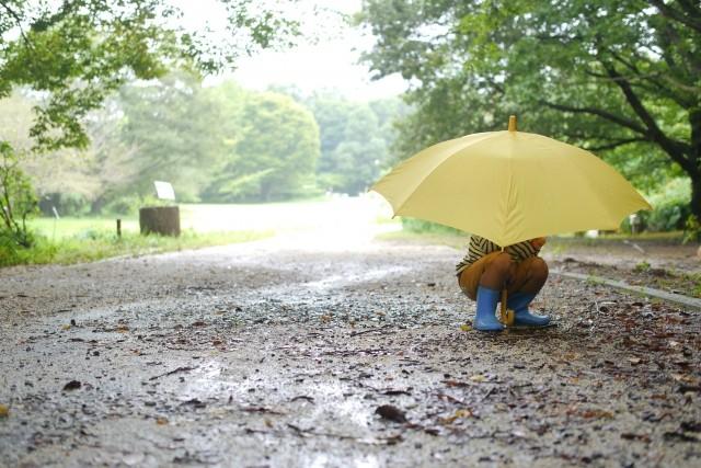 「傘がｷﾚｲだった」雨の夜の公園で盗撮 詩人気取りの変質者 