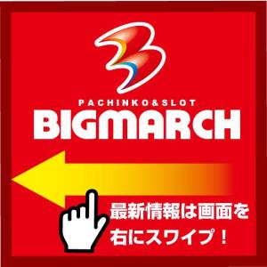 ビックマーチ西川田店 80