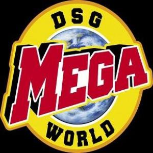 DSG MEGA WORLD 213
