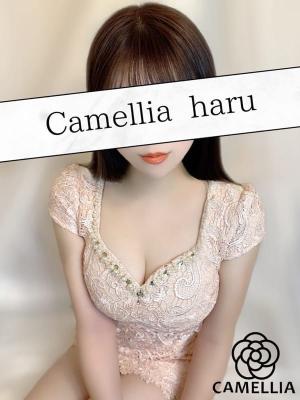 Camellia-カメリア- ②