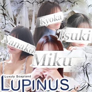 吉原 高級ソープ ルピナス LUPINUS