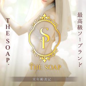 すすきの・札幌/ソープTHE SOAP