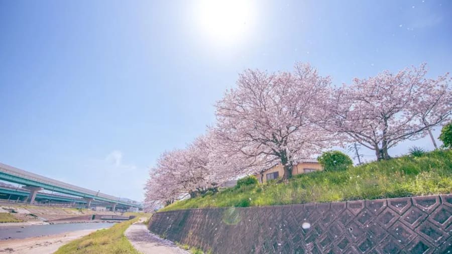 爆サイ.com 北部九州版美しい風景写真エリアトップ