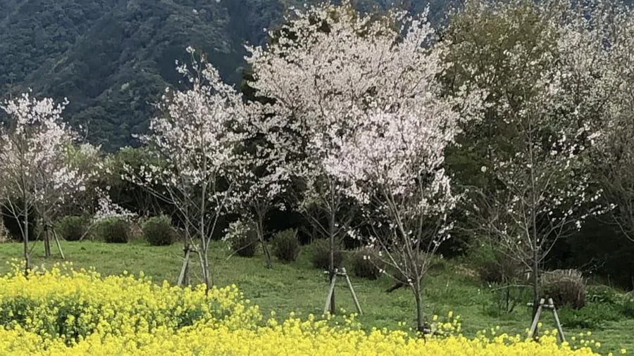 爆サイ.com 南部九州版美しい風景写真エリアトップ