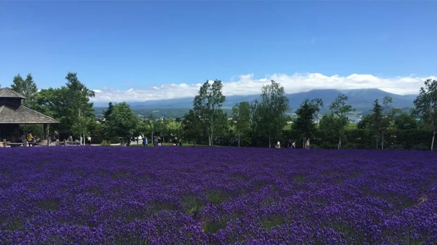 爆サイ.com 北海道版美しい風景写真エリアトップ