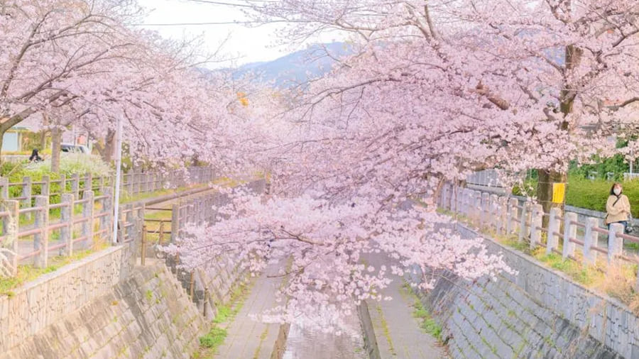 爆サイ.com 北部九州版美しい風景写真エリアトップ