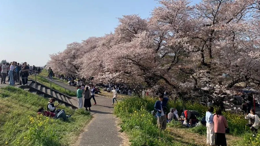 爆サイ.com 南関東版美しい風景写真エリアトップ