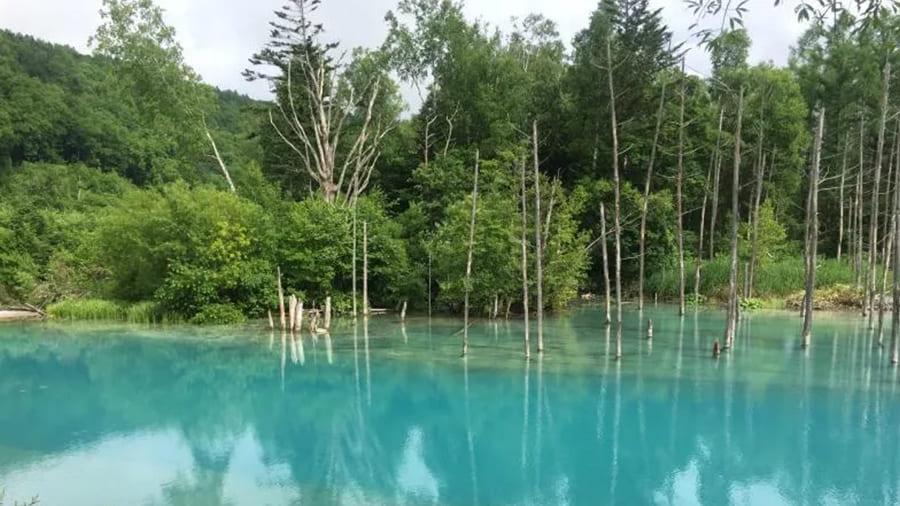 爆サイ.com 北海道版美しい風景写真エリアトップ