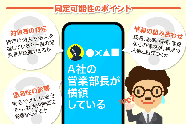 同定可能性のポイント図