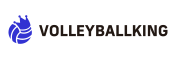 volleyballKing