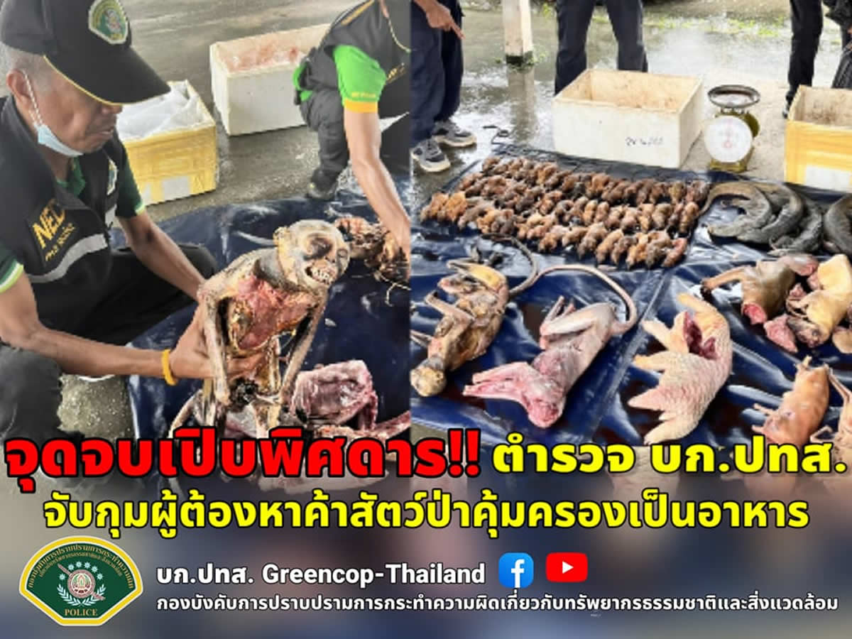 保護された野生生物の死体を食材として販売、タイ人の女を逮捕