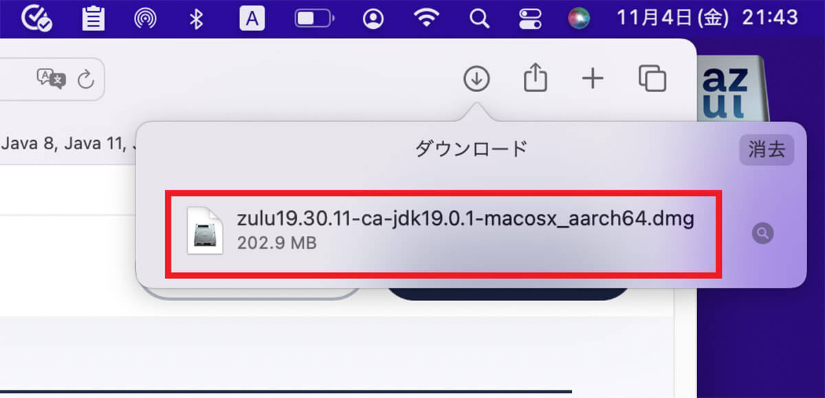 Appleシリコン(M1)のMacでJavaをダウンロード/インストールする方法9