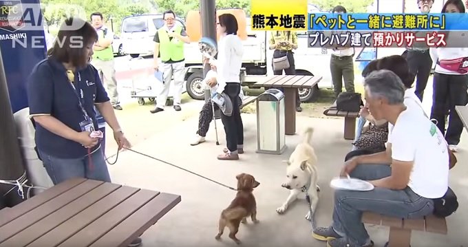 東日本大震災から12年… 災害時に飼い主を助けたペットたちの事例の画像2