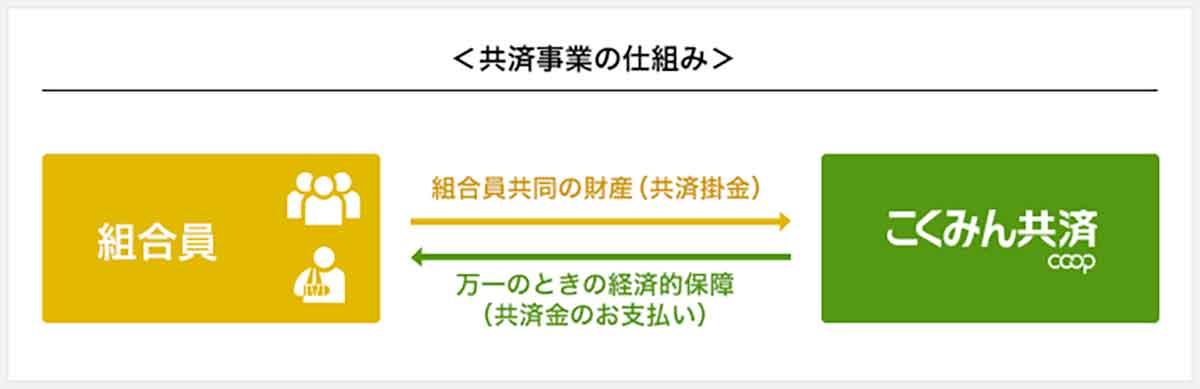 こくみん共済とは？全労済が運営する共済事業1