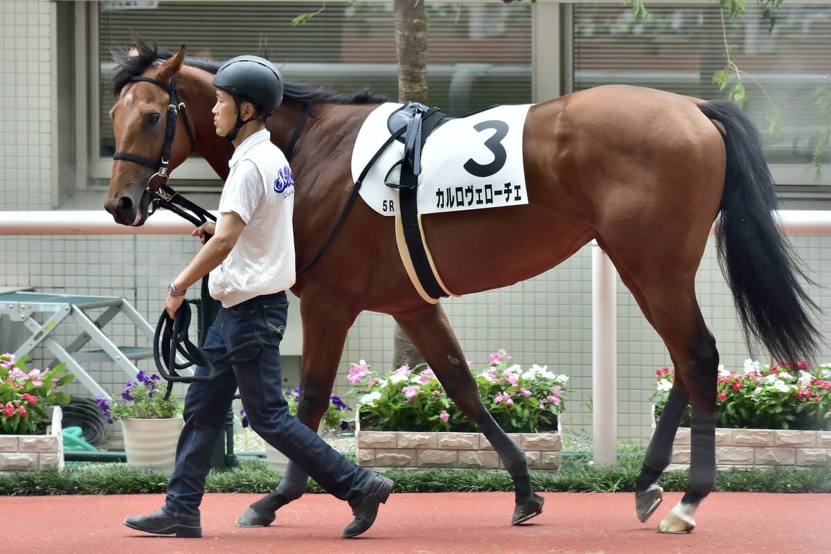 武豊「１着に飢えて」JRAから戒告…福永祐一「持論」自ら実証の勝ち逃げ引退も、大先輩が痛恨の被害の画像1
