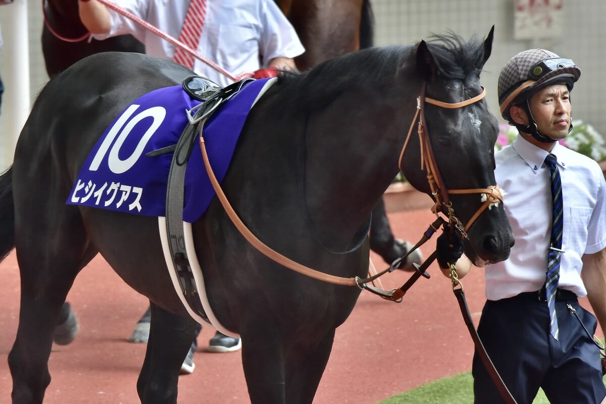 【大阪杯（G1）展望】二冠牝馬スターズオンアース登場！ 名脇役ヒシイグアス＆ヴェルトライゼンデ悲願のG1制覇への画像2