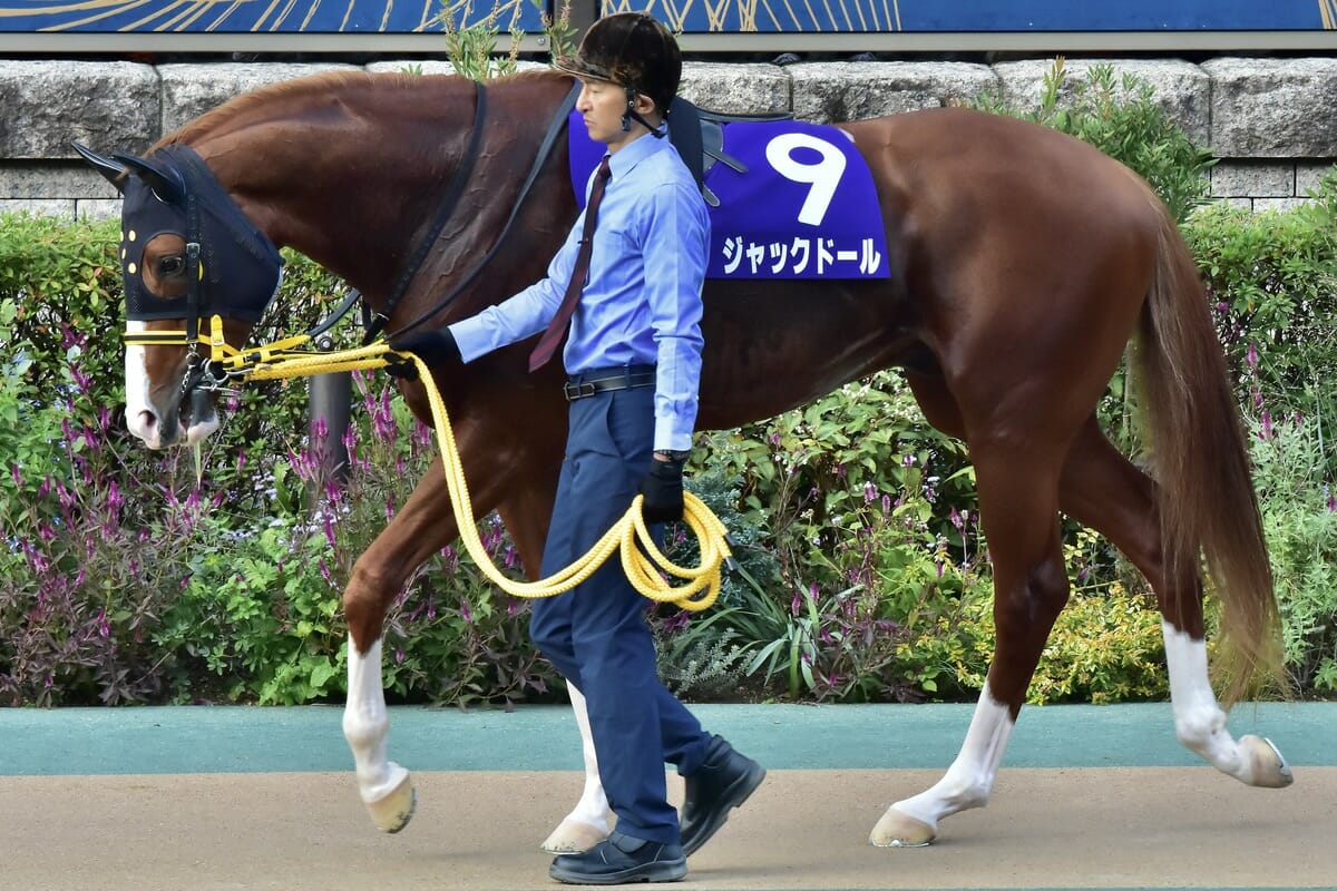 【大阪杯（G1）展望】二冠牝馬スターズオンアース登場！ 名脇役ヒシイグアス＆ヴェルトライゼンデ悲願のG1制覇への画像3