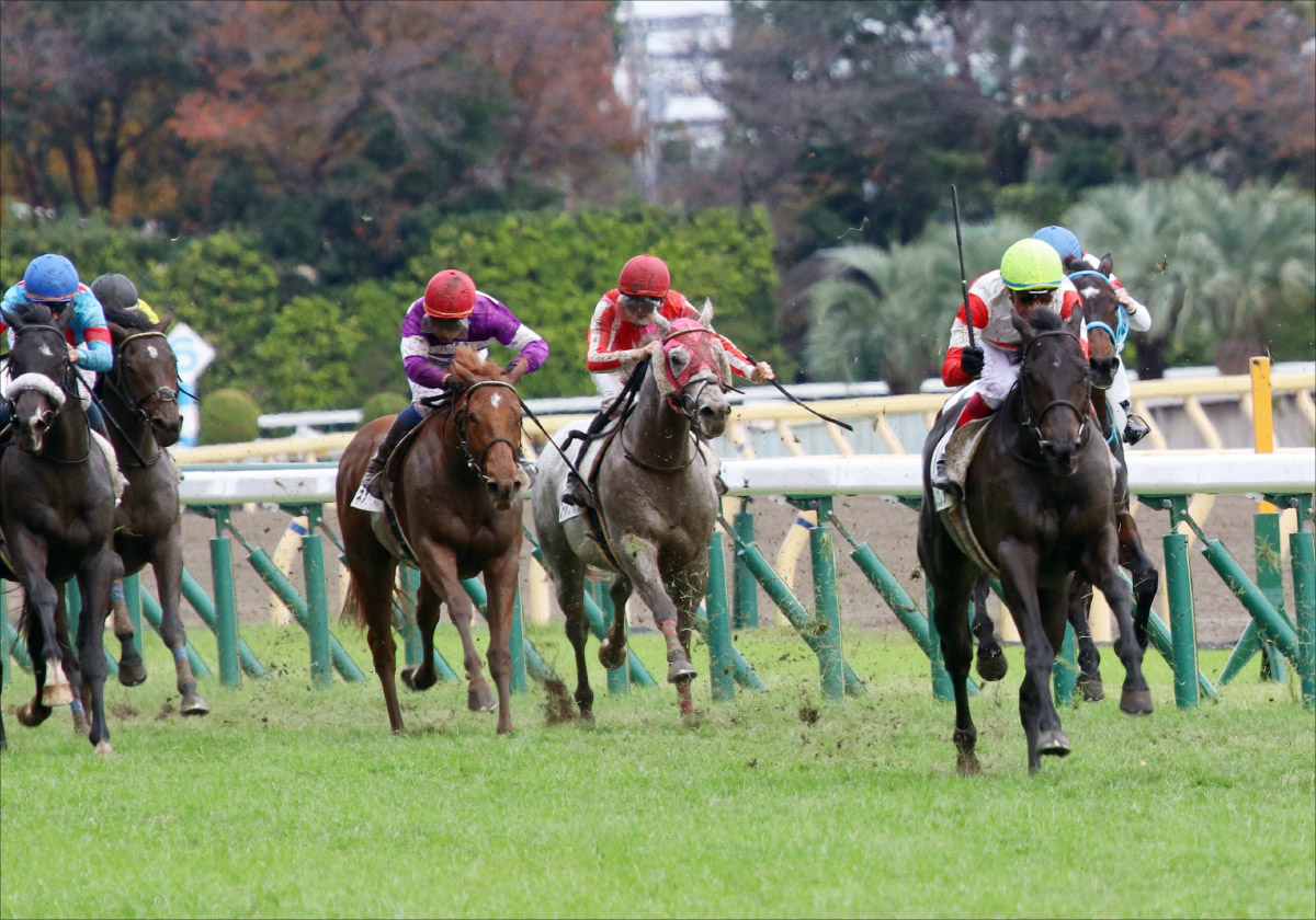 東大式必勝馬券【NHKマイルC予想】狂乱の大阪万博、そしてA・T対決！ 前身NHK杯であった頂上決戦に日本中が湧いたの画像2