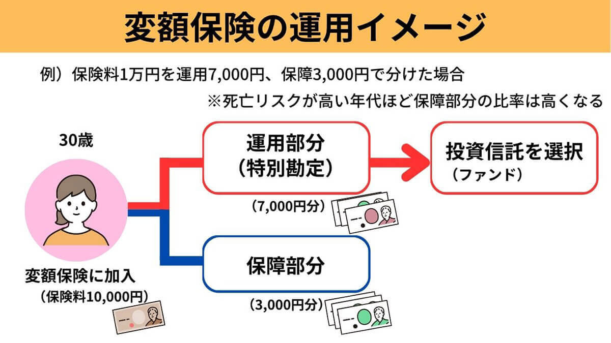 保険でお金を増やせるか？