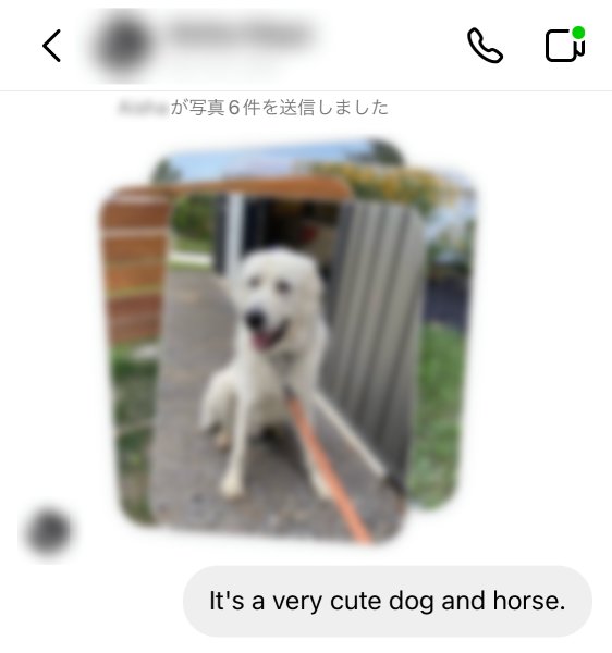 かわいい犬と馬の写真