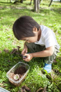 幼少期に昆虫採集に夢中になった思い出はありませんか？