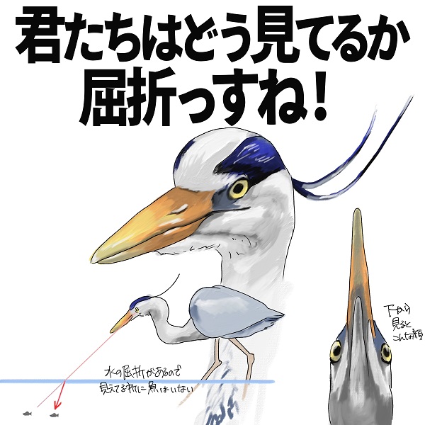 サギたちは屈折によるズレも計算に入れて水中で泳ぐ魚を捕まえている
