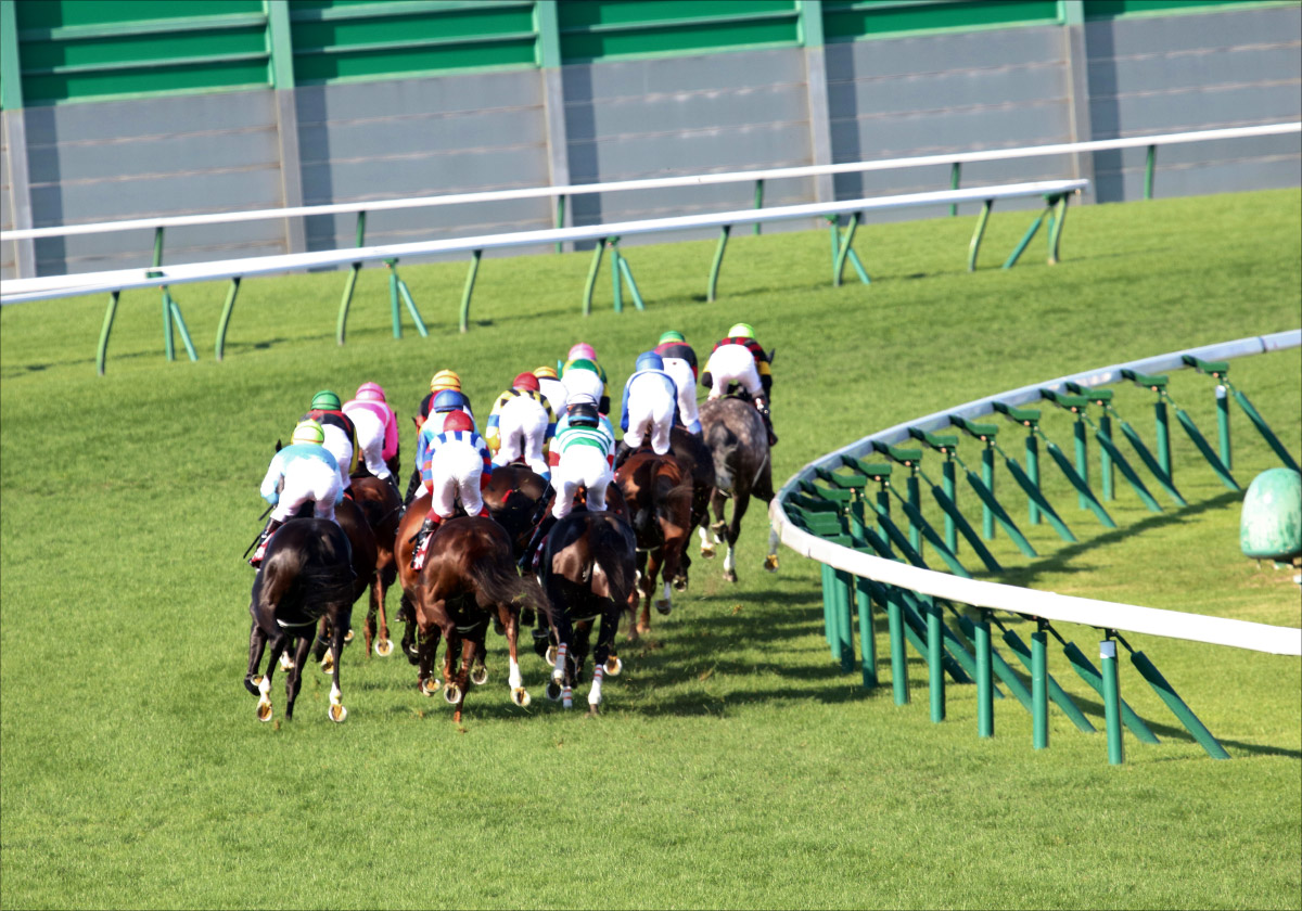 横山武史「想像以上の強さ」札幌2歳S（G3）4馬身圧勝セットアップはエフフォーリアの再来か!? 競馬界を席巻した「鹿戸×武史」第2章開幕の予感の画像1