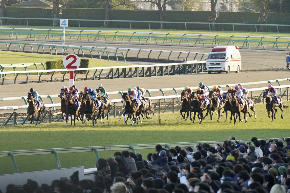 「レイデオロ以上の乗りやすさ」C.ルメールがゾッコンの大物登場か…「失敗種牡馬」の評価を覆す反撃、エフフォーリアの鹿戸雄一師も「いいモノを持っていそう」の画像1