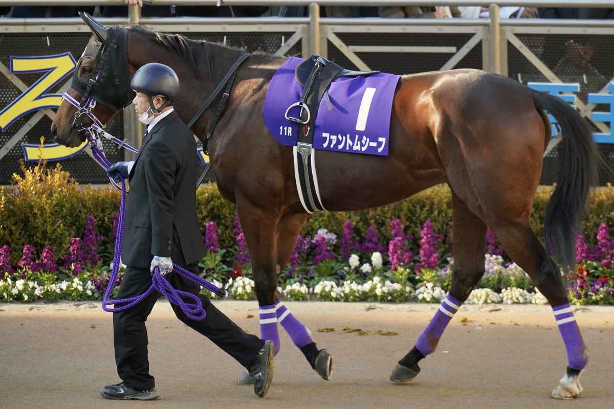 武豊「やりたい競馬はできた」に対照的な見立て？ 安藤勝己氏「菊花賞向きやと思うね」の評価も…「めっちゃ嫌なコメント」と評した人物の見解の画像2