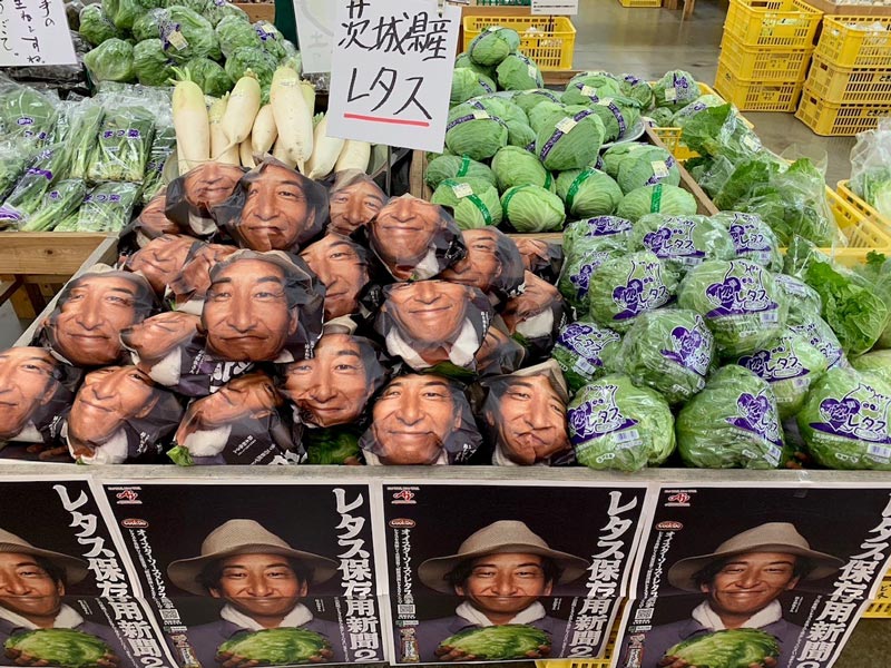 「レタス保存用新聞2」で包まれたレタスが、「生産者の顔が見えすぎる野菜」として登場