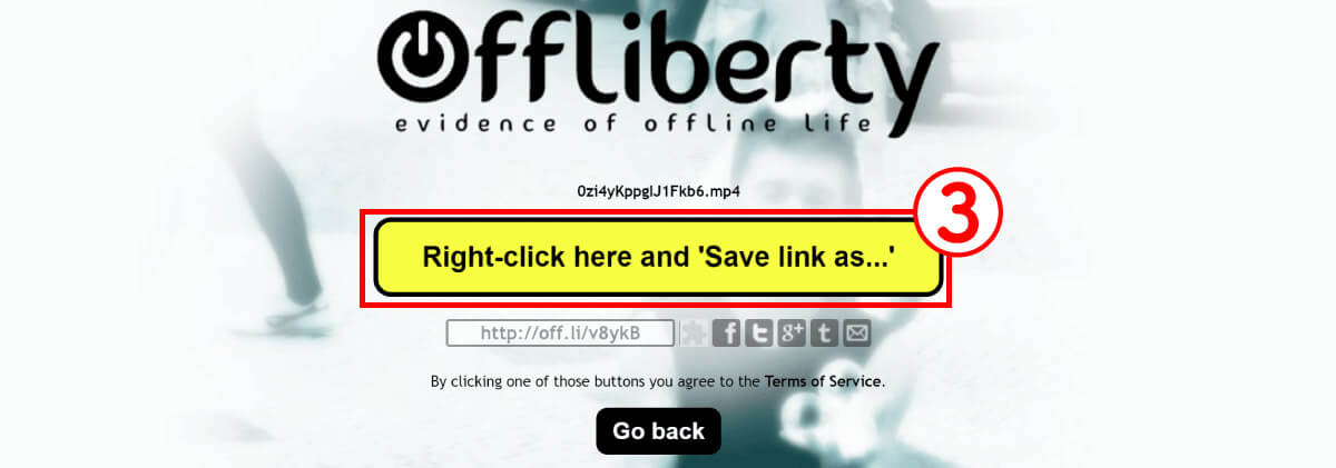 【無料・利用可能】Offliberty2