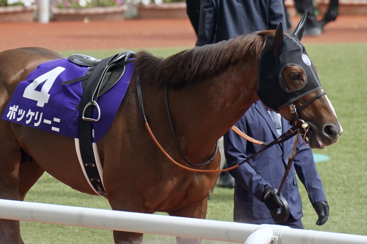 【AJCC】古豪ボッケリーニが今年初戦！ JRA所属馬「史上3頭目」8歳での平地G1制覇に向けて好レースなるかの画像1