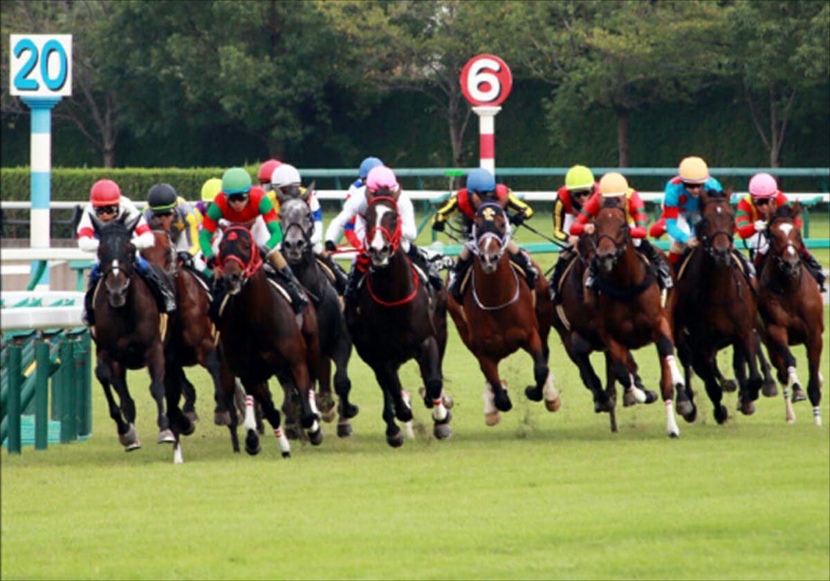 【若駒S】武豊が「話題の注目馬」とコンビ復活！過去ディープインパクトやトウカイテイオーも勝利…クラシックの相棒に名乗りを上げられるかの画像1