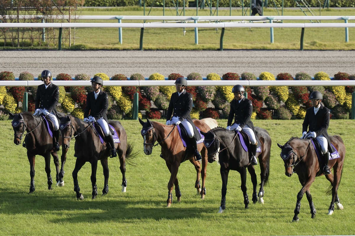 かつてのスプリント王がサウジで日本馬を返り討ち!? 3000mで圧倒的な強さを見せた「元快速馬」にファンも困惑の画像1